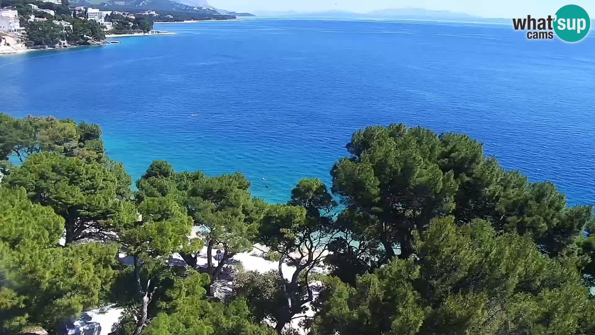 Livecam Brela – Panorama