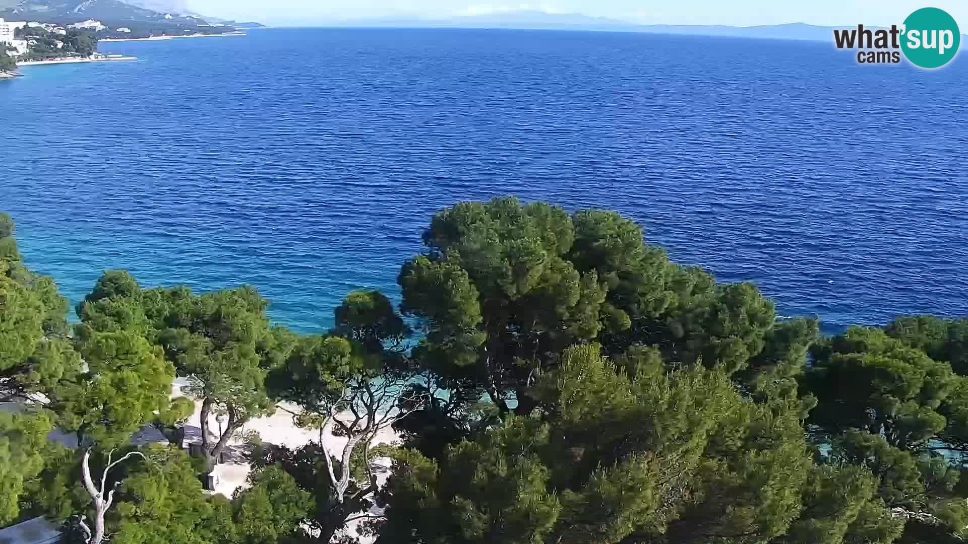 Livecam Brela – Panorama