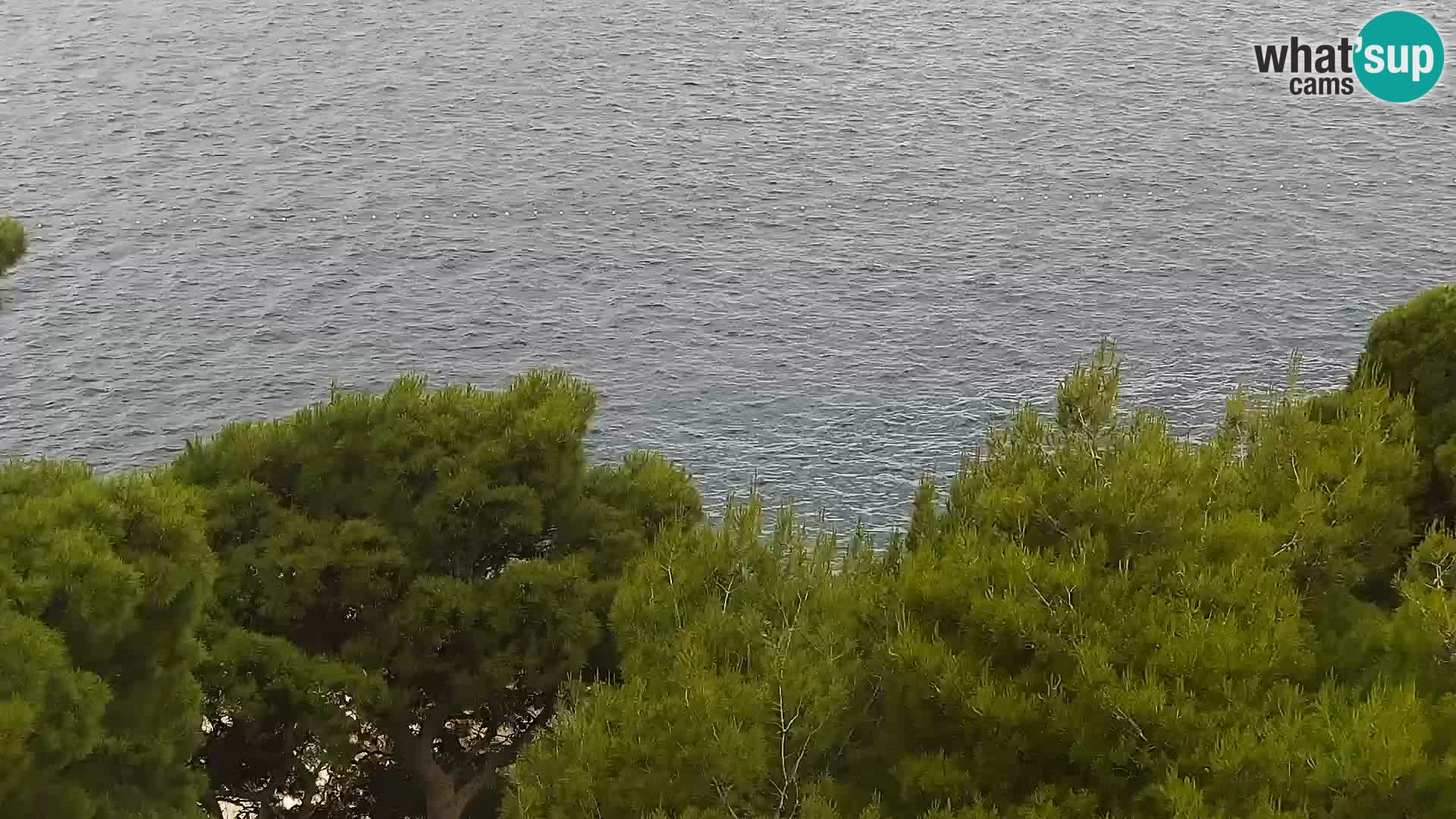 PTZ Webcam Brela – Panorama