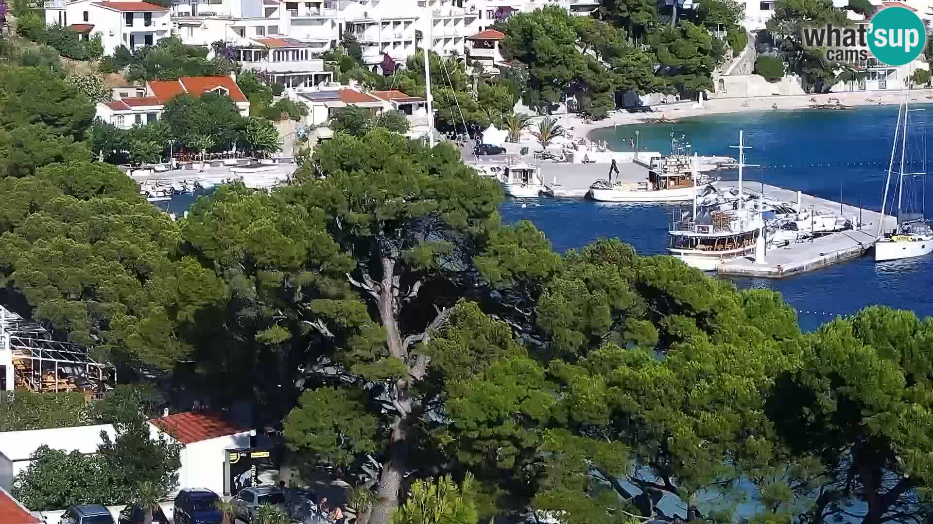 Live webcam Brela – Panorama