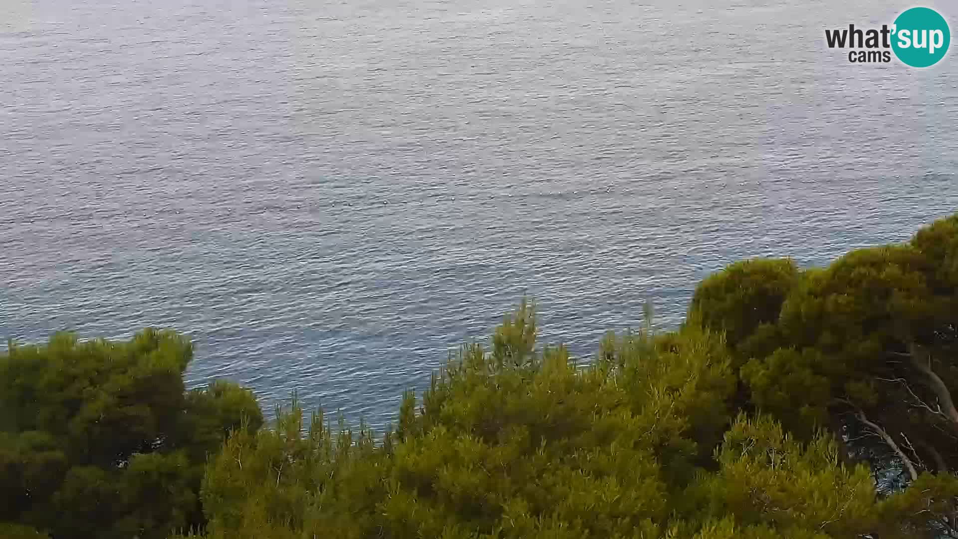 Live webcam Brela – Panorama