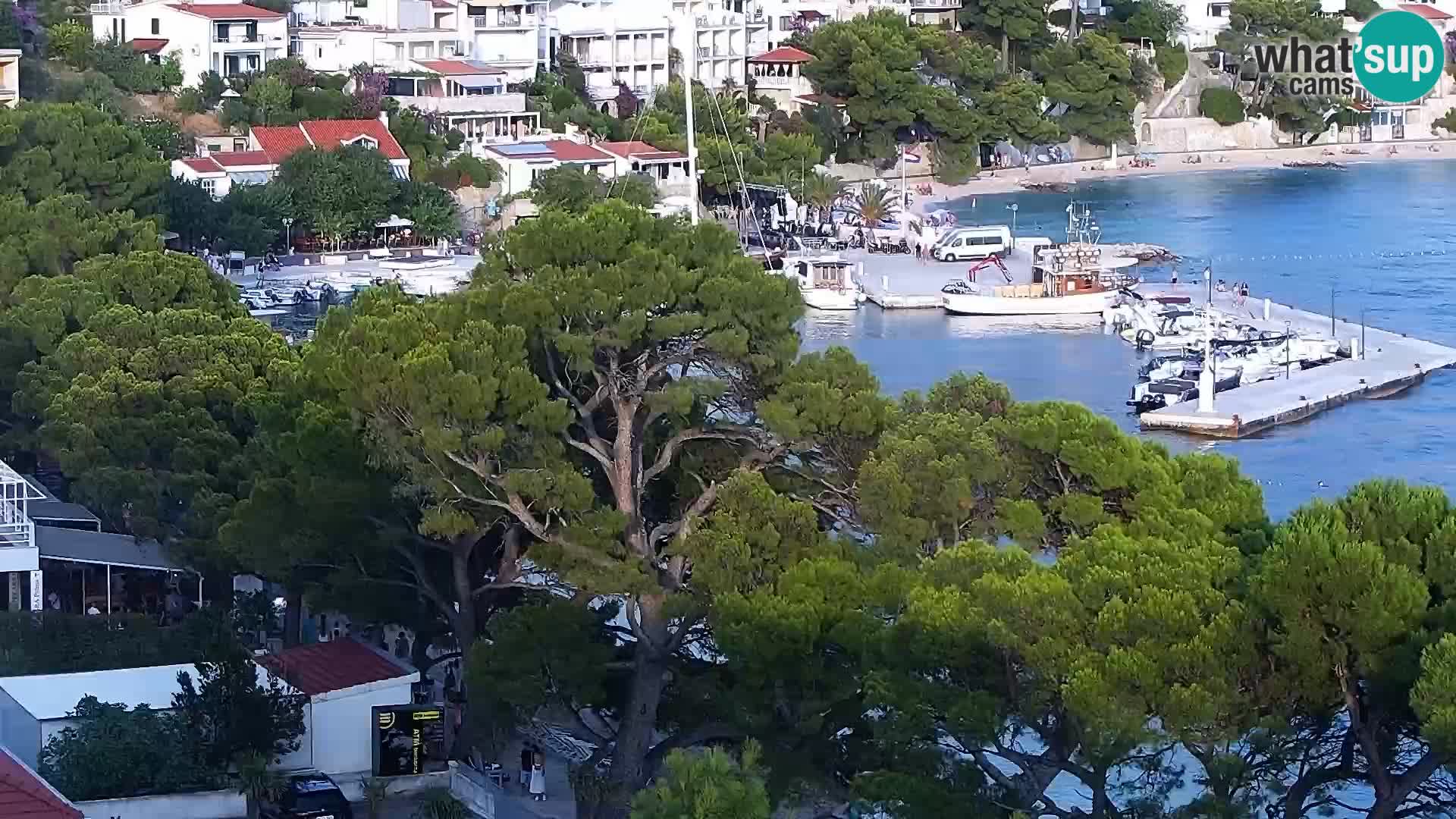Kamera v živo Brela – Panorama