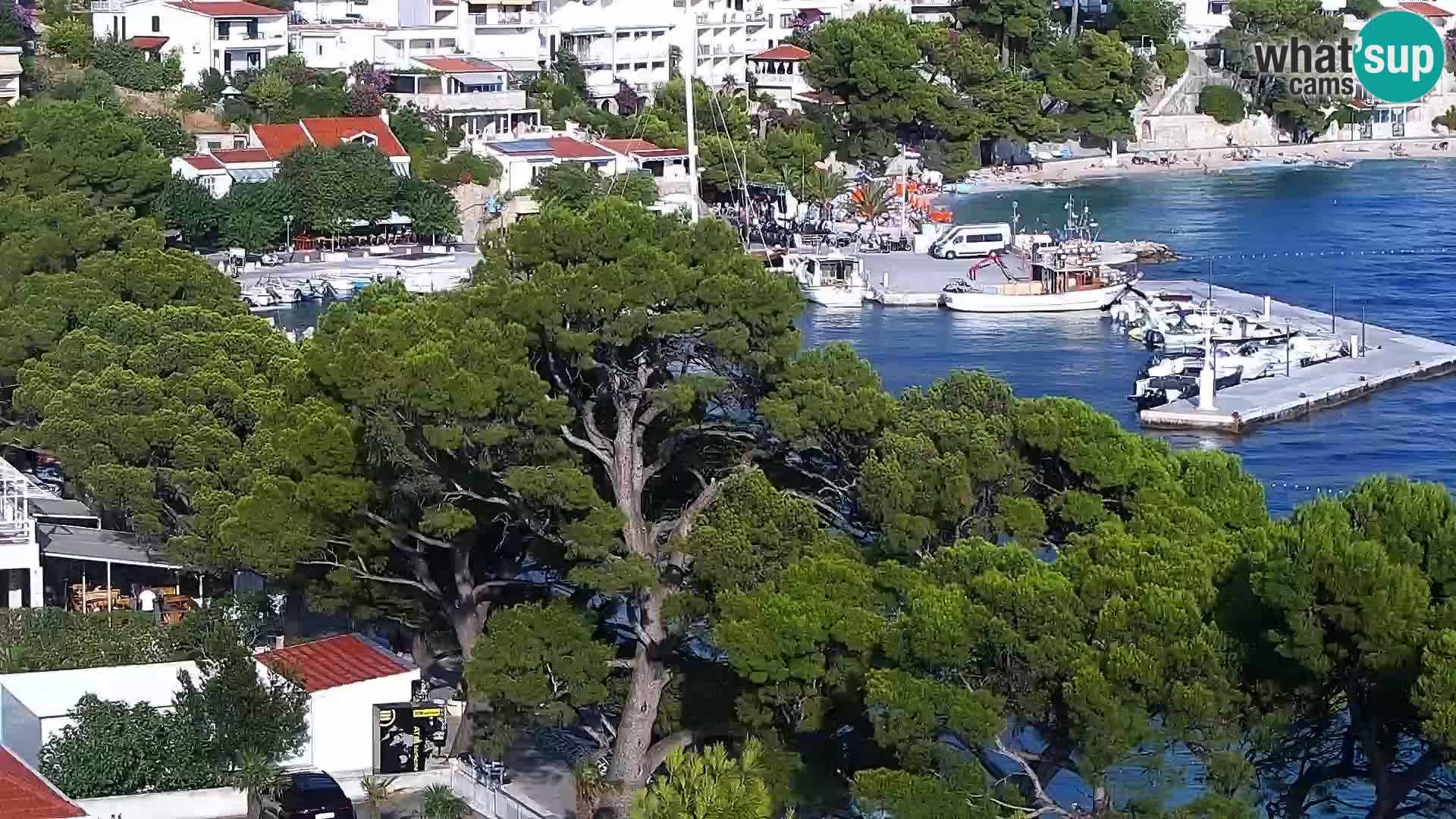 Livecam Brela – Panorama