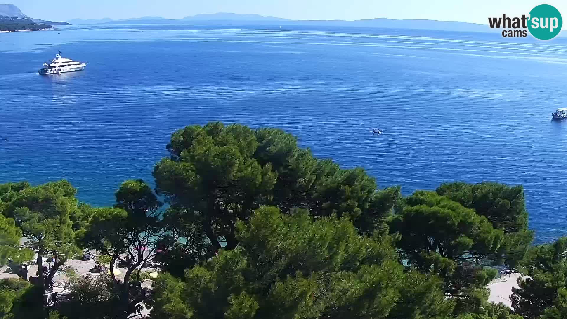 Kamera v živo Brela – Panorama