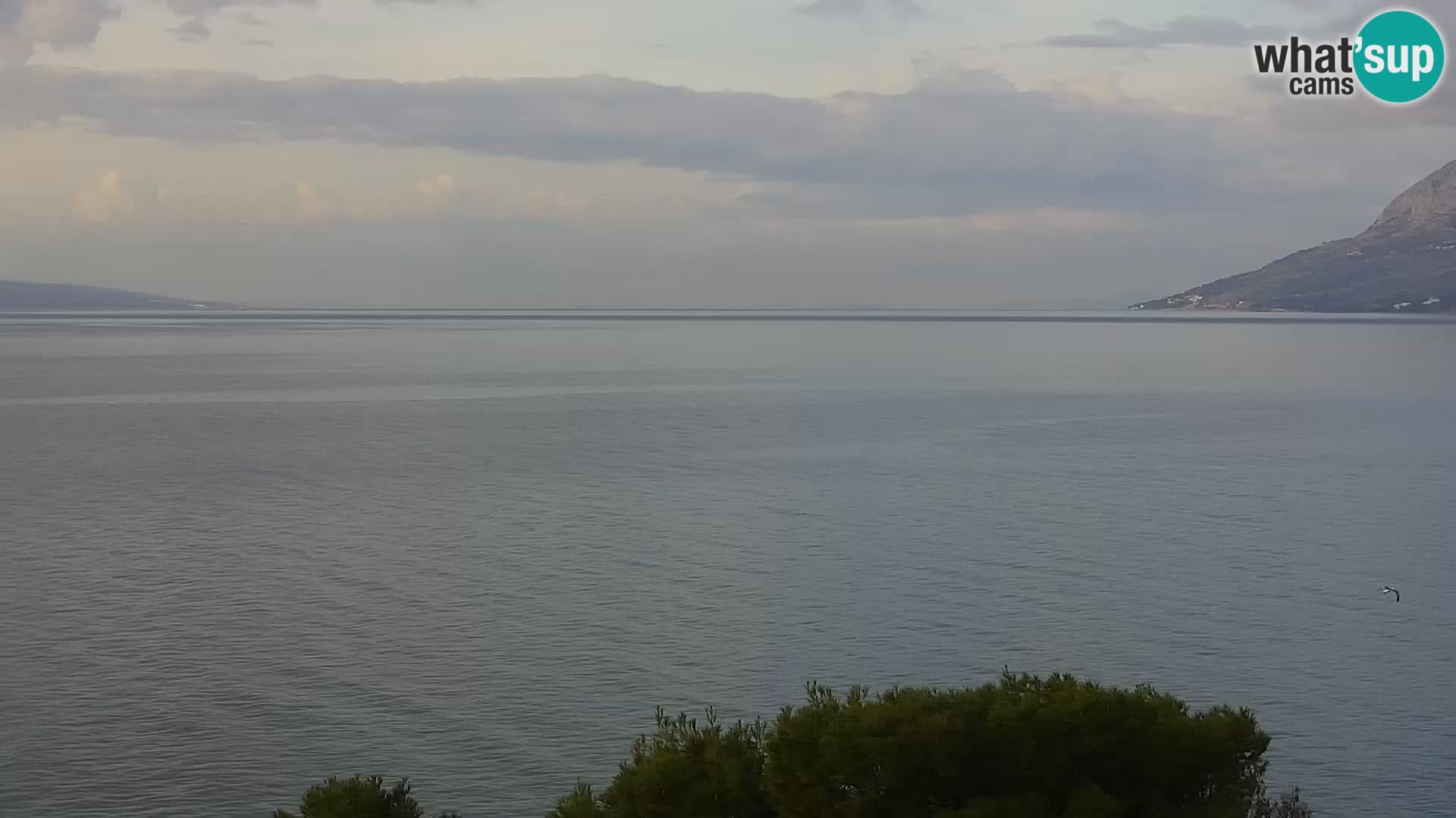 Live webcam Brela – Panorama