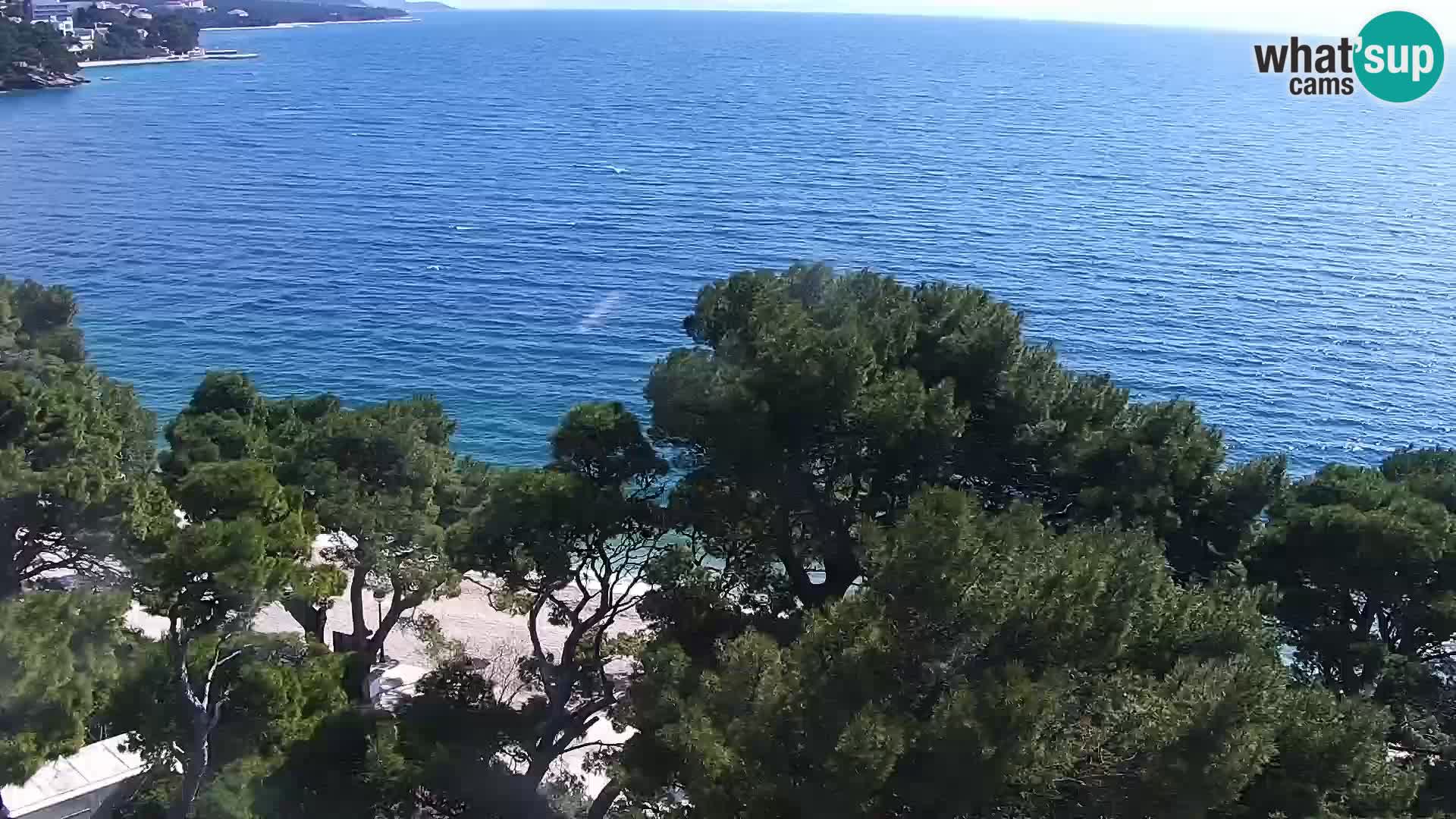 Live Webcam Brela – Panorama