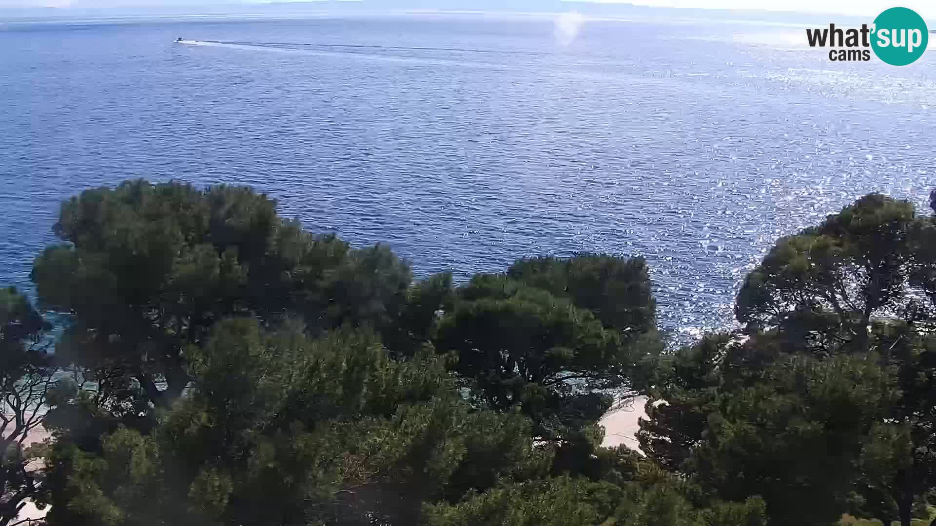 Live webcam Brela – Panorama