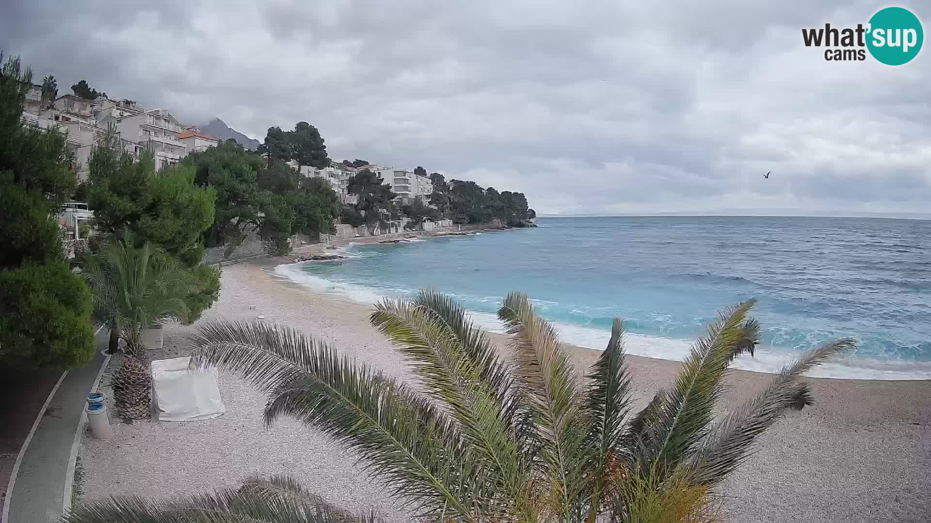 Webcam Lučica Strand Beach Brela – Liveblick von der Adriaküste