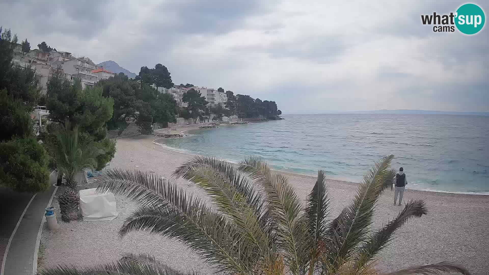 Webcam Lučica Strand Beach Brela – Liveblick von der Adriaküste