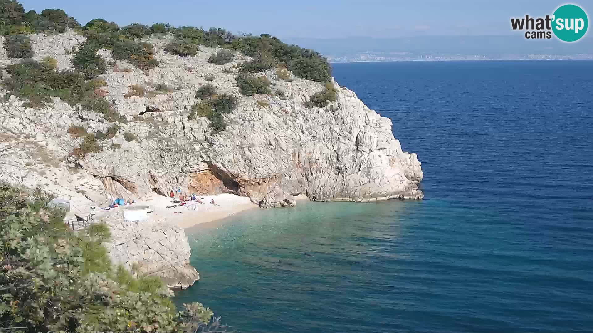Webcam Brseč beach – Mošćenička Draga – Croatia