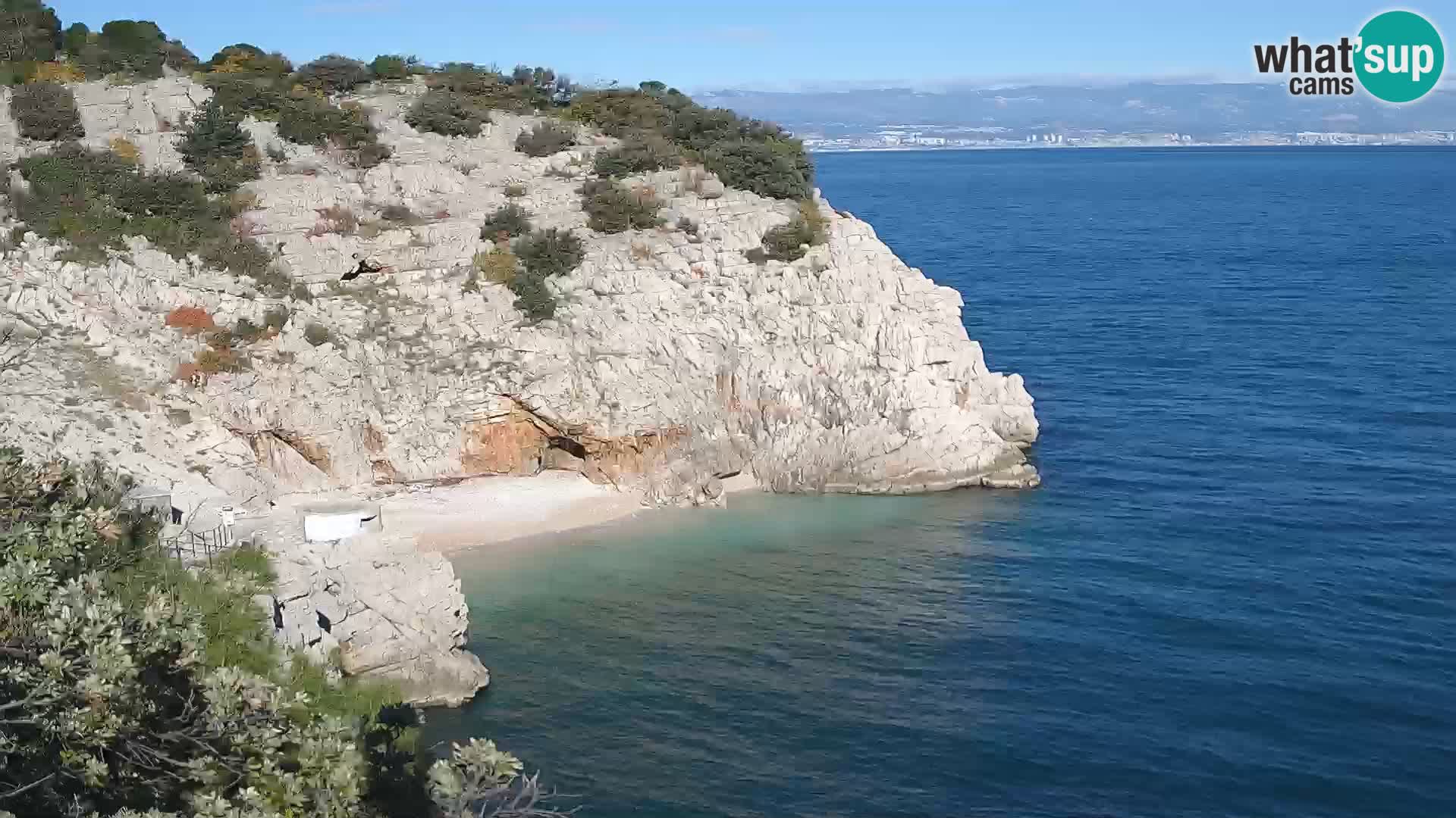 Webcam Bersezio spiaggia – Draga di Moschiena – Croazia