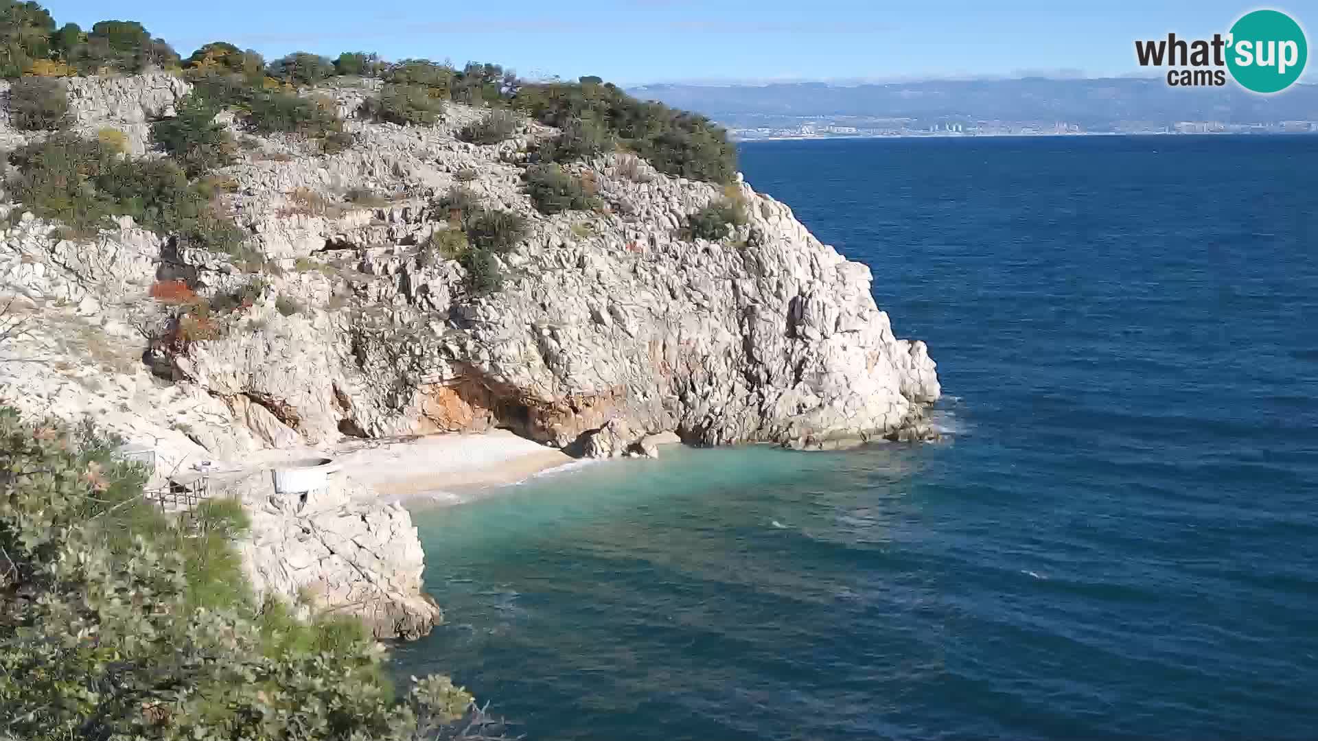 Webcam Bersezio spiaggia – Draga di Moschiena – Croazia