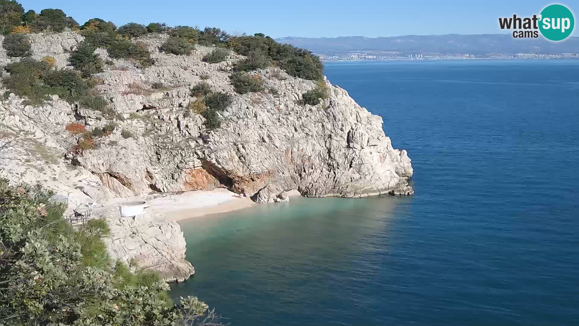 Webcam Brseč Strand – Mošćenička Draga – Kroatien