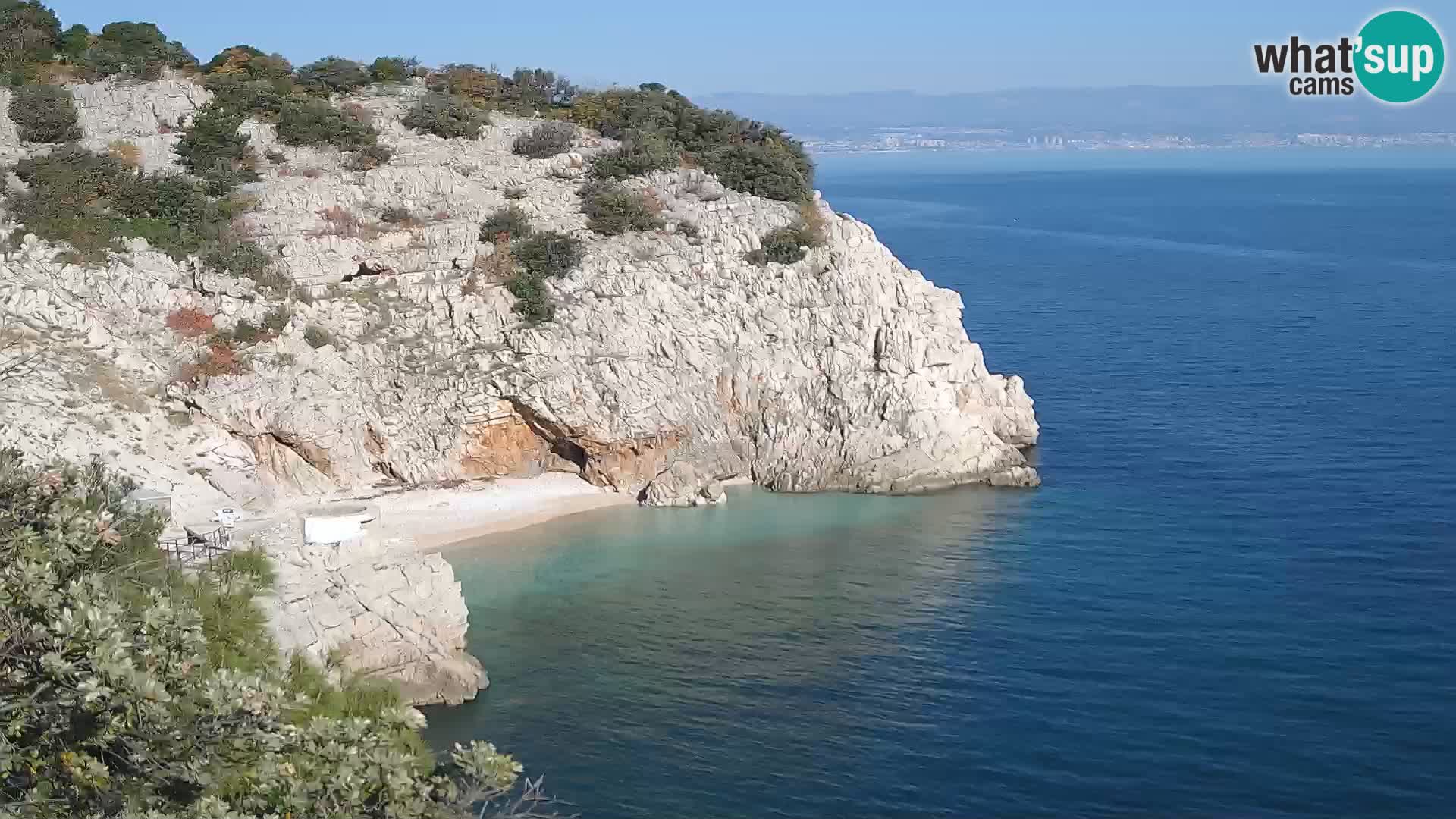 Webcam Bersezio spiaggia – Draga di Moschiena – Croazia