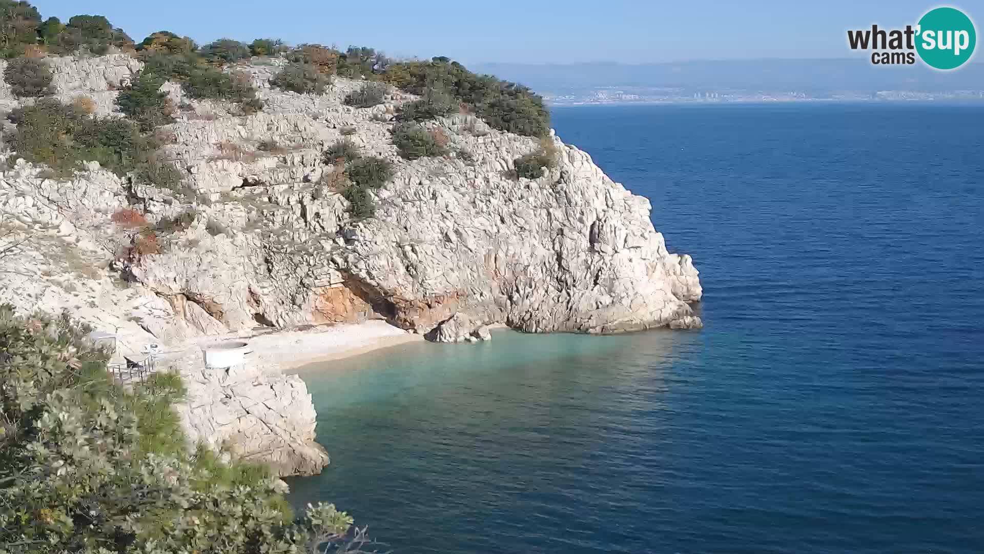 Webcam Brseč Strand – Mošćenička Draga – Kroatien