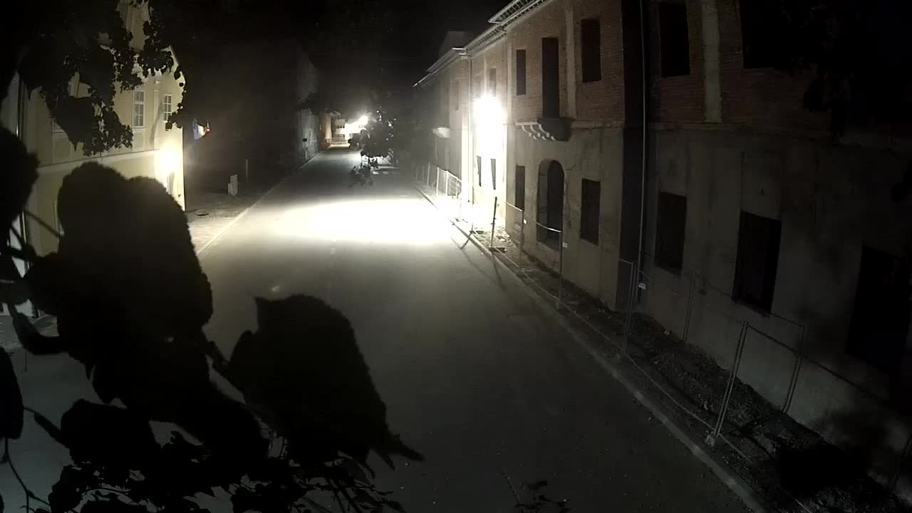 Petrinja ristrutturazione del liceo e dell’amministrazione comunale dopo il terremoto – Live cam Croazia