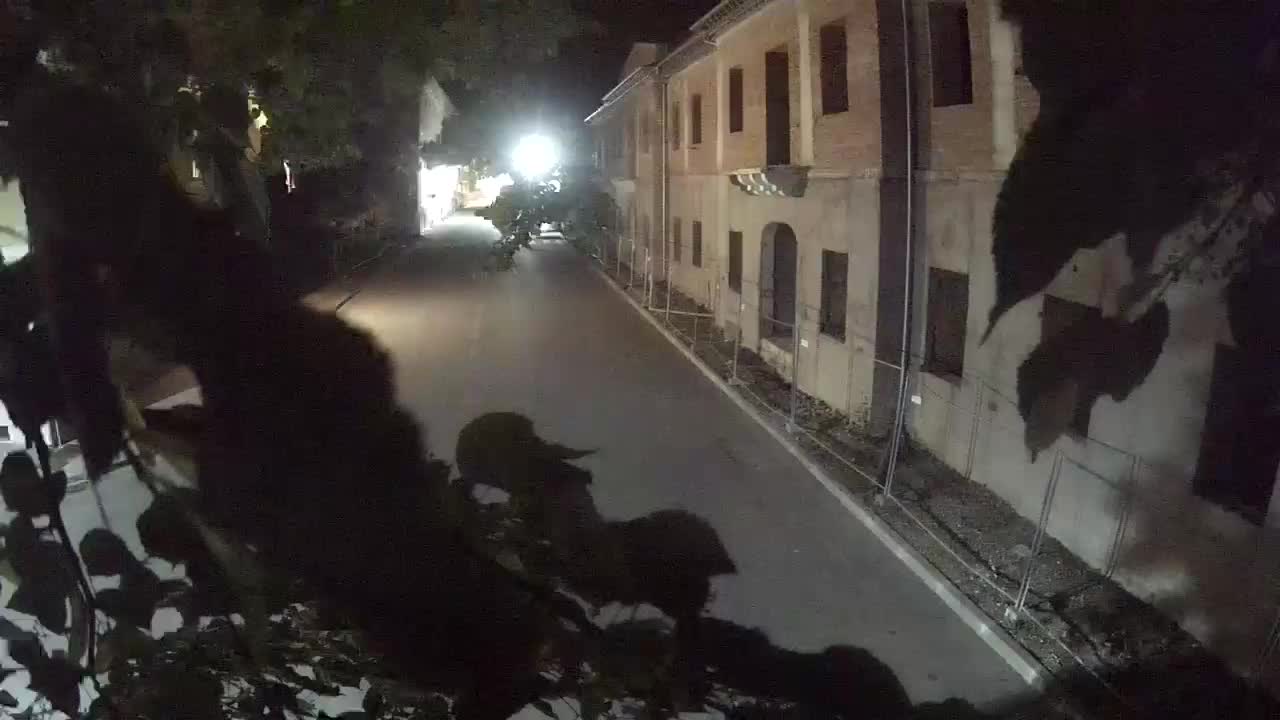 Petrinja rénovation du lycée et de l’administration municipale après le tremblement de terre – Live cam Croatie