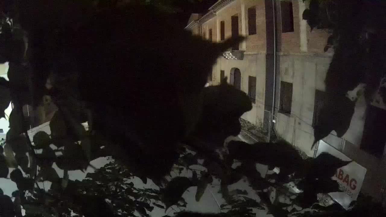 Petrinja Renovierung der High School und Stadtverwaltung nach dem Erdbeben – Live Cam Kroatien