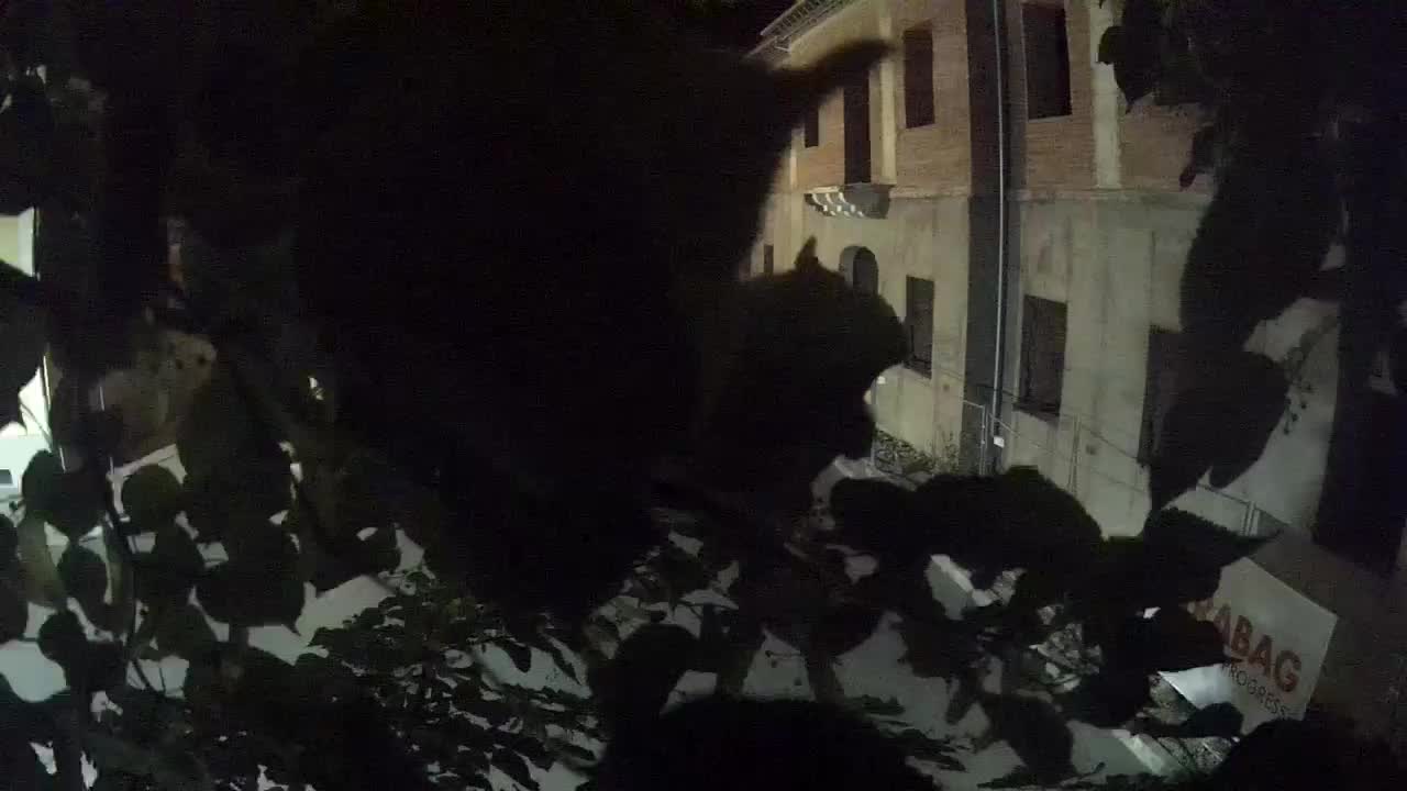 Petrinja Renovierung der High School und Stadtverwaltung nach dem Erdbeben – Live Cam Kroatien