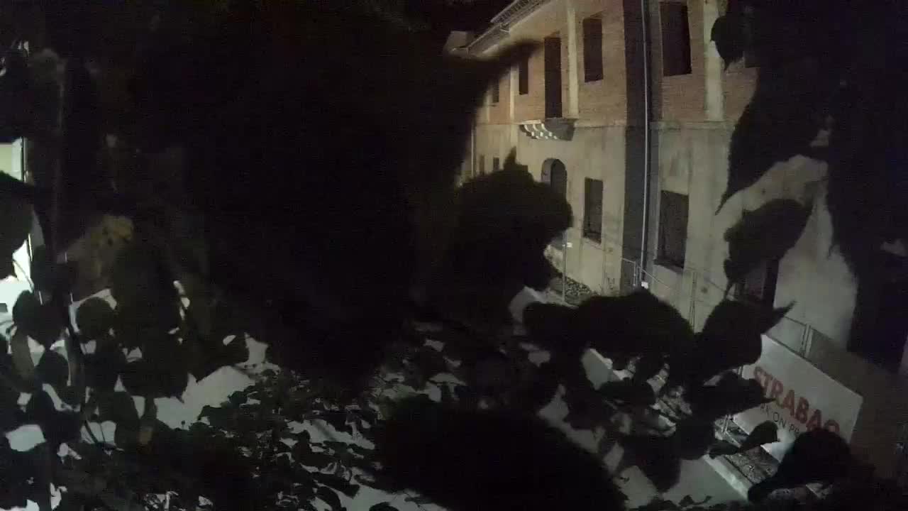 Petrinjska obnova Srednje škole i Gradske uprave nakon potresa – Live cam Hrvatska