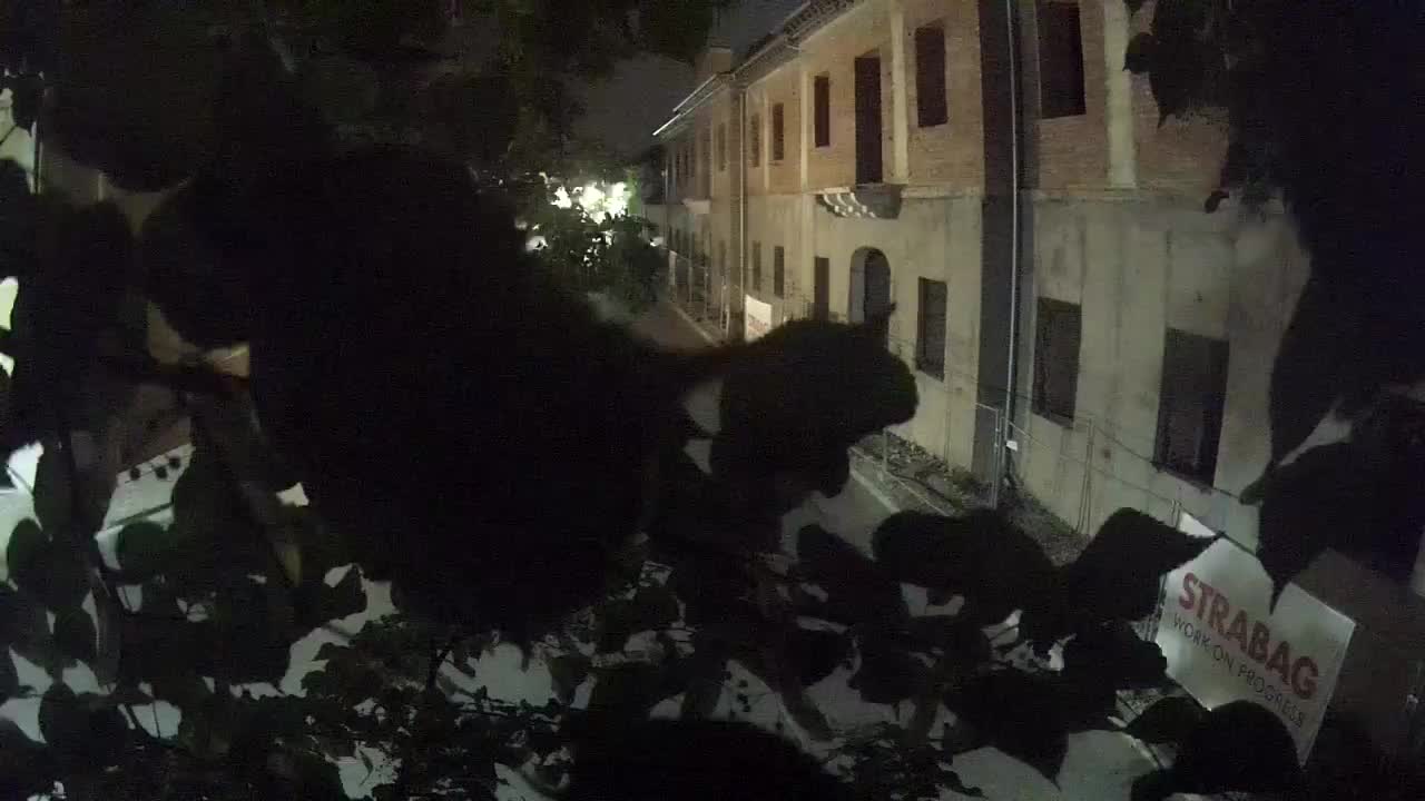Petrinja rénovation du lycée et de l’administration municipale après le tremblement de terre – Live cam Croatie