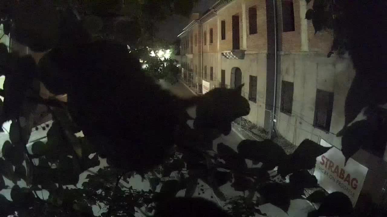 Petrinja ristrutturazione del liceo e dell’amministrazione comunale dopo il terremoto – Live cam Croazia