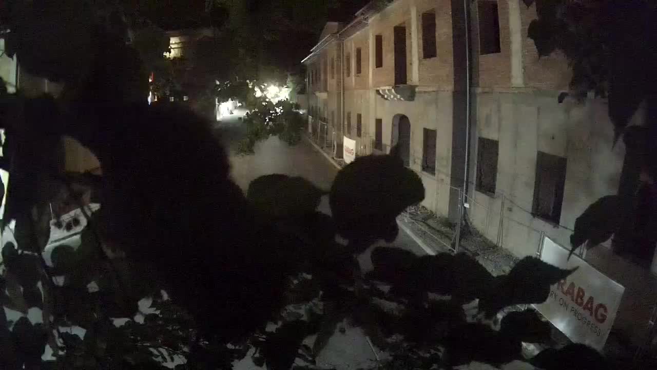 Petrinja ristrutturazione del liceo e dell’amministrazione comunale dopo il terremoto – Live cam Croazia