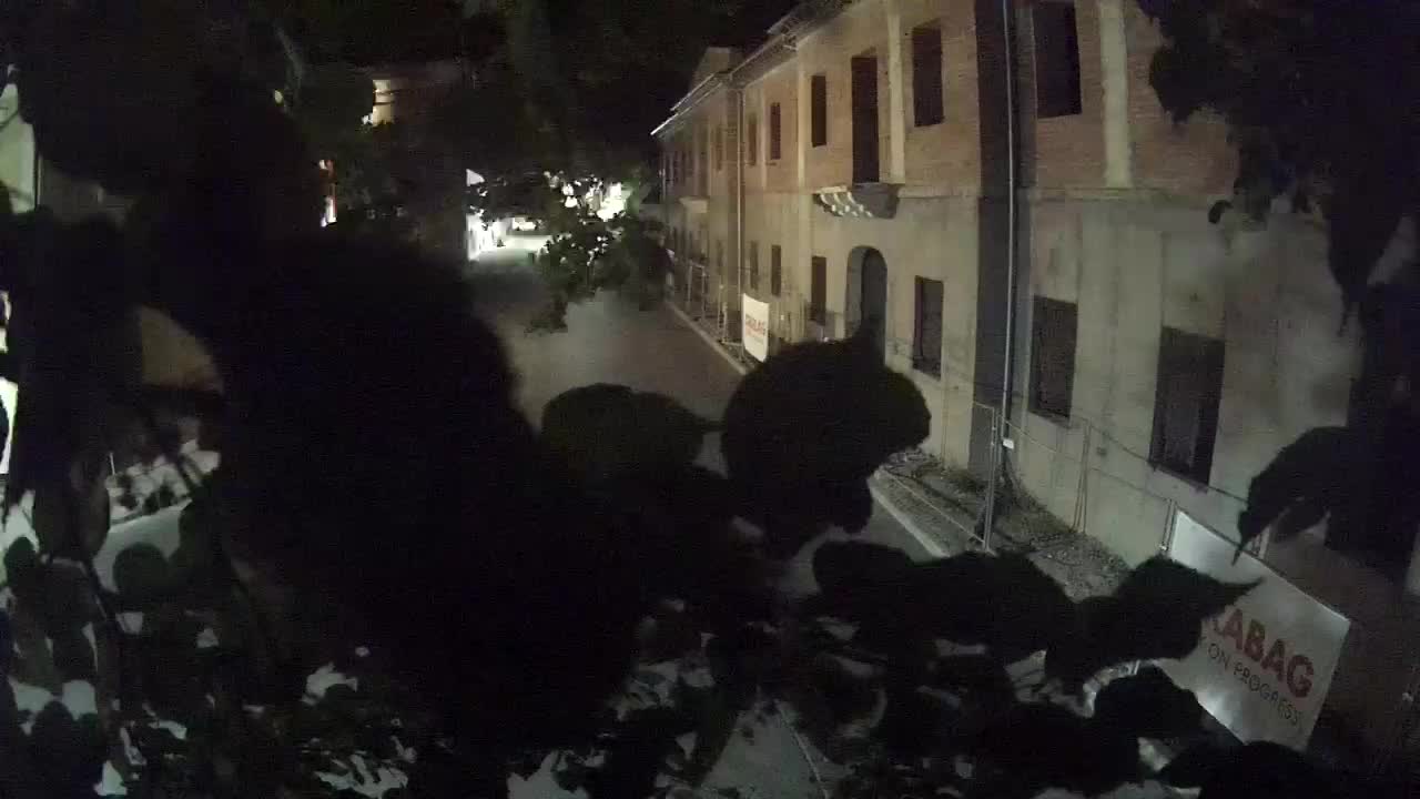 Petrinja ristrutturazione del liceo e dell’amministrazione comunale dopo il terremoto – Live cam Croazia