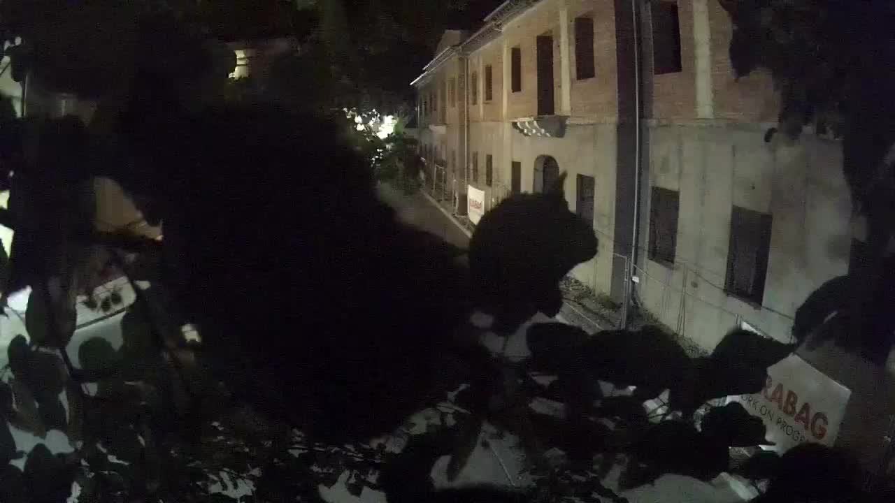 Petrinja Renovierung der High School und Stadtverwaltung nach dem Erdbeben – Live Cam Kroatien