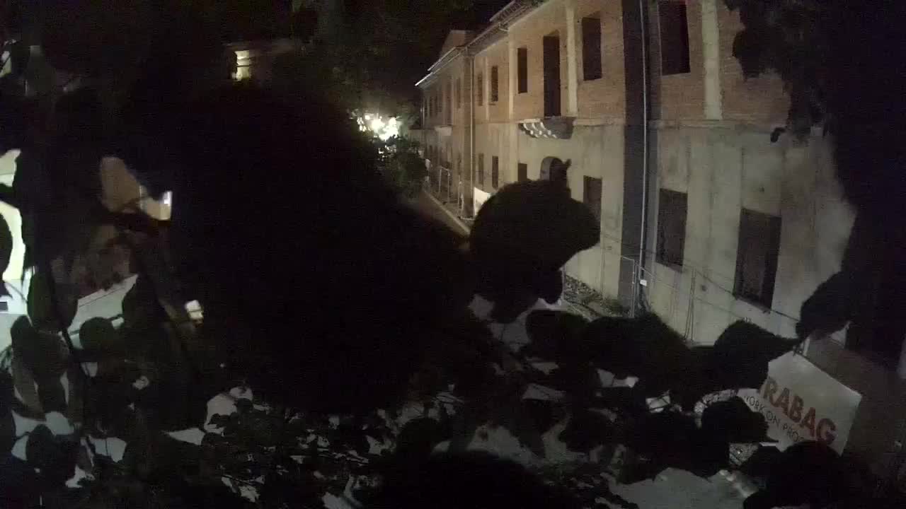 Renovación de Petrinja de la escuela secundaria y la administración de la ciudad después del terremoto – Live cam Croacia