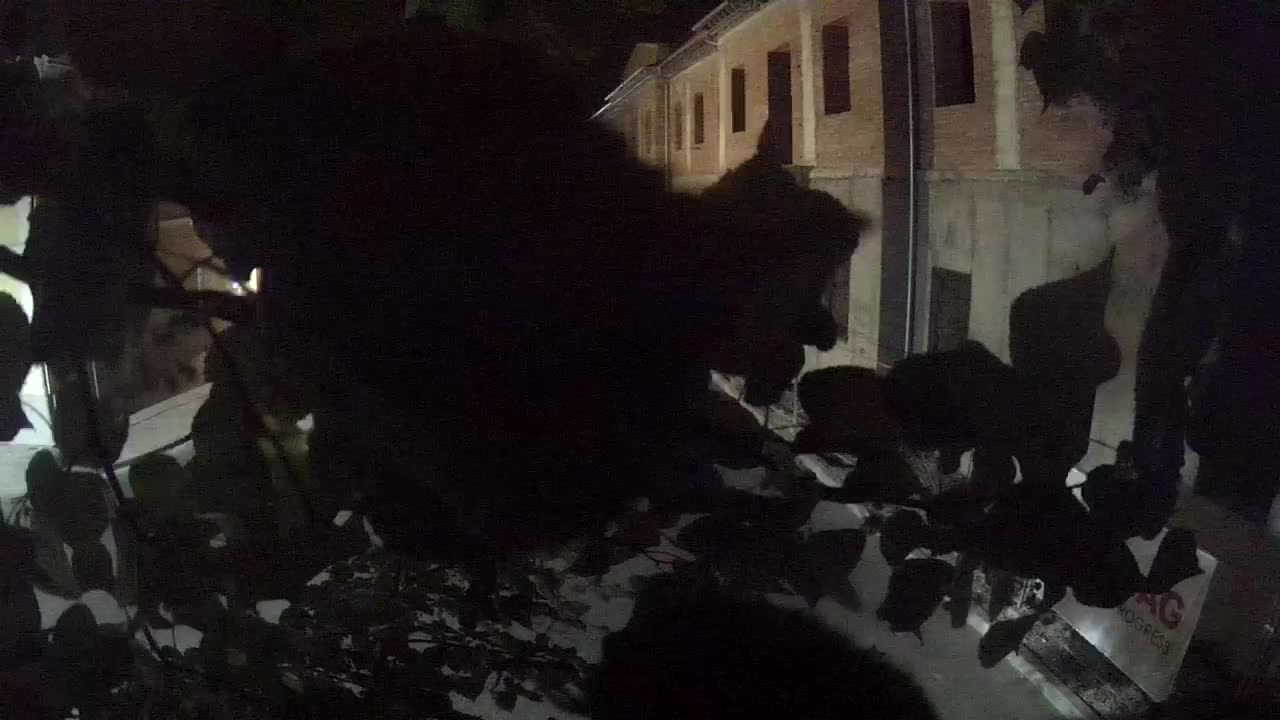 Petrinjska obnova Srednje škole i Gradske uprave nakon potresa – Live cam Hrvatska