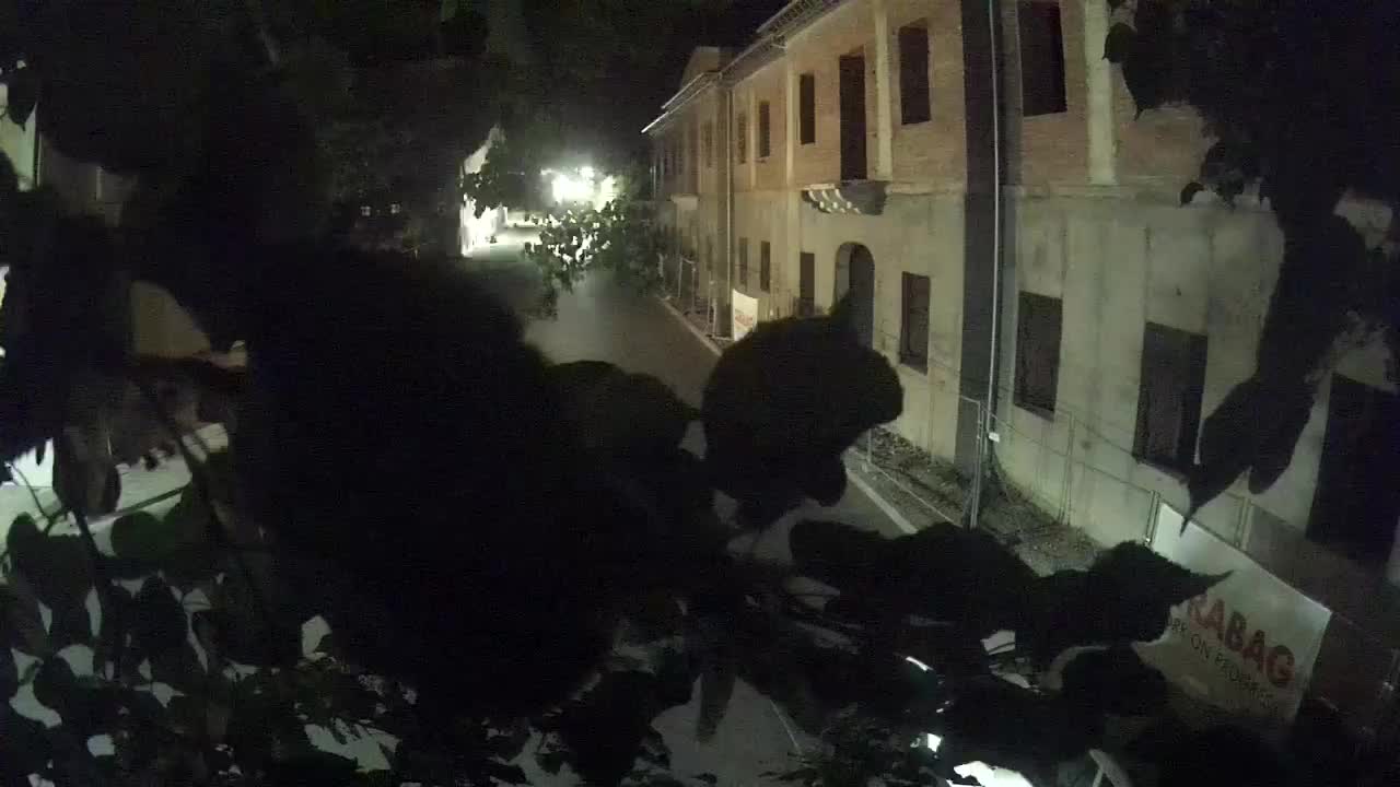 Petrinja renovation of the High School and City Administration after the earthquake – Live cam Croatia