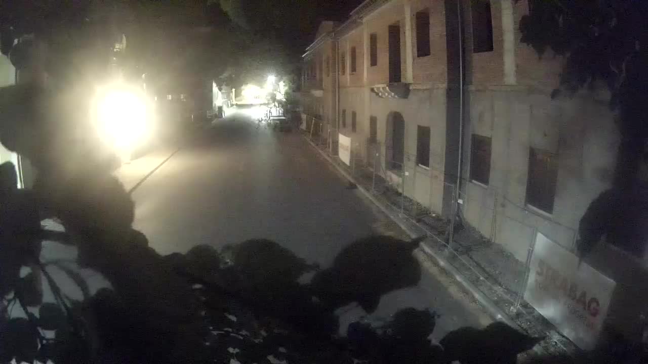 Petrinjska prenova srednje šole in mestne uprave po potresu – Kamere v živo Hrvaška