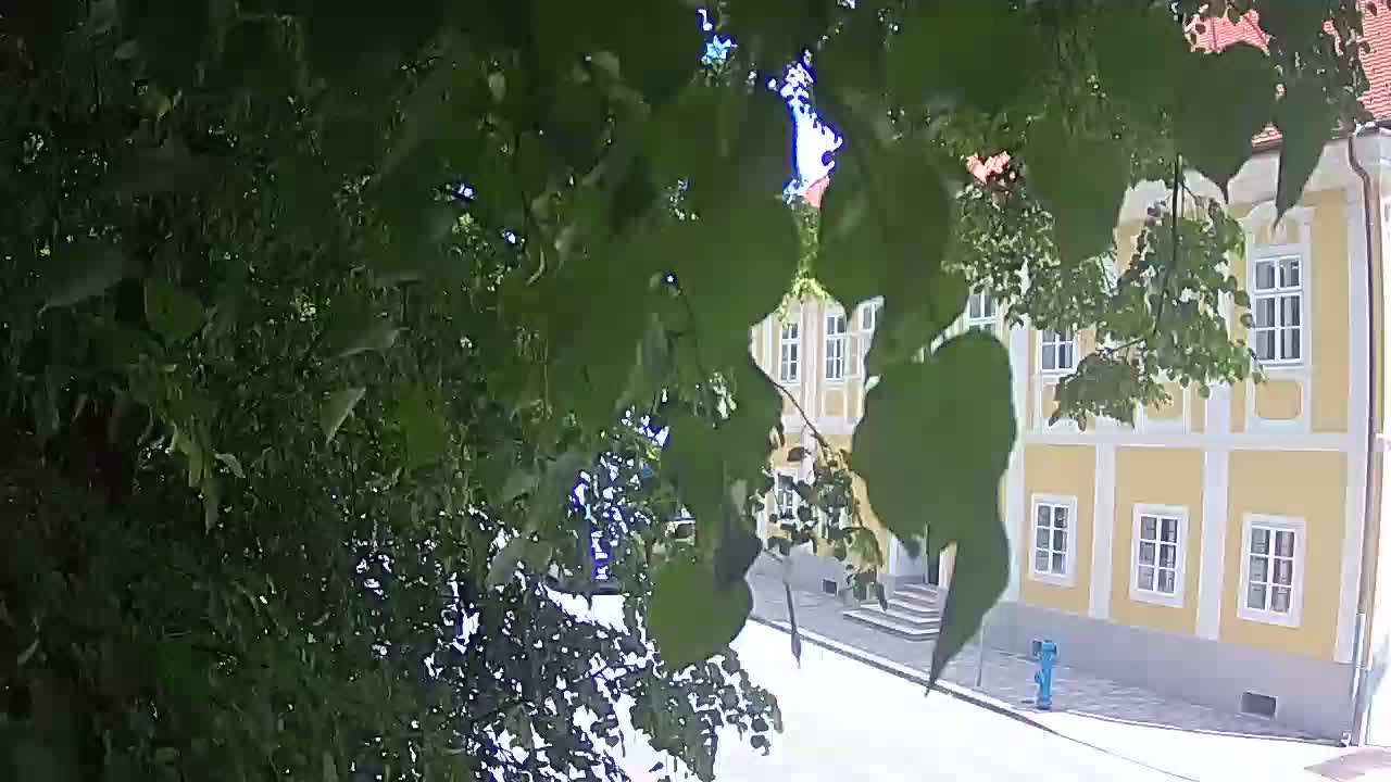 Webcam en direct du parc Petrinja – après le tremblement de terre
