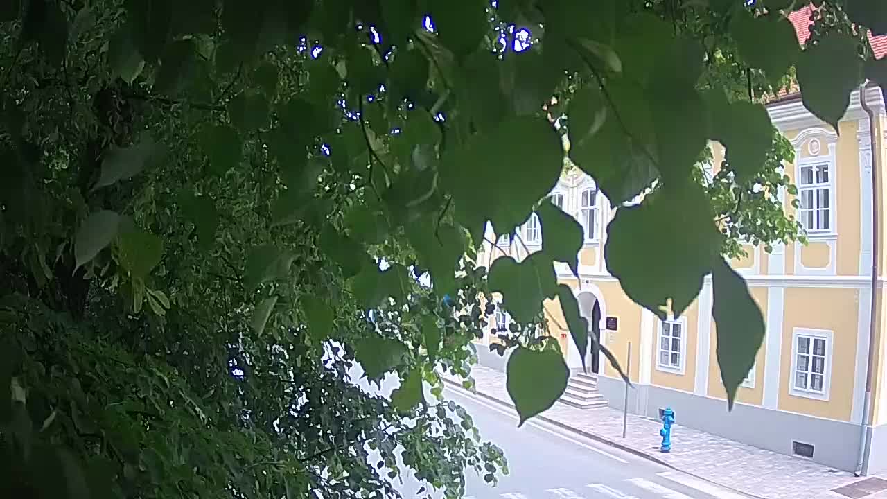 Webcam en direct du parc Petrinja – après le tremblement de terre