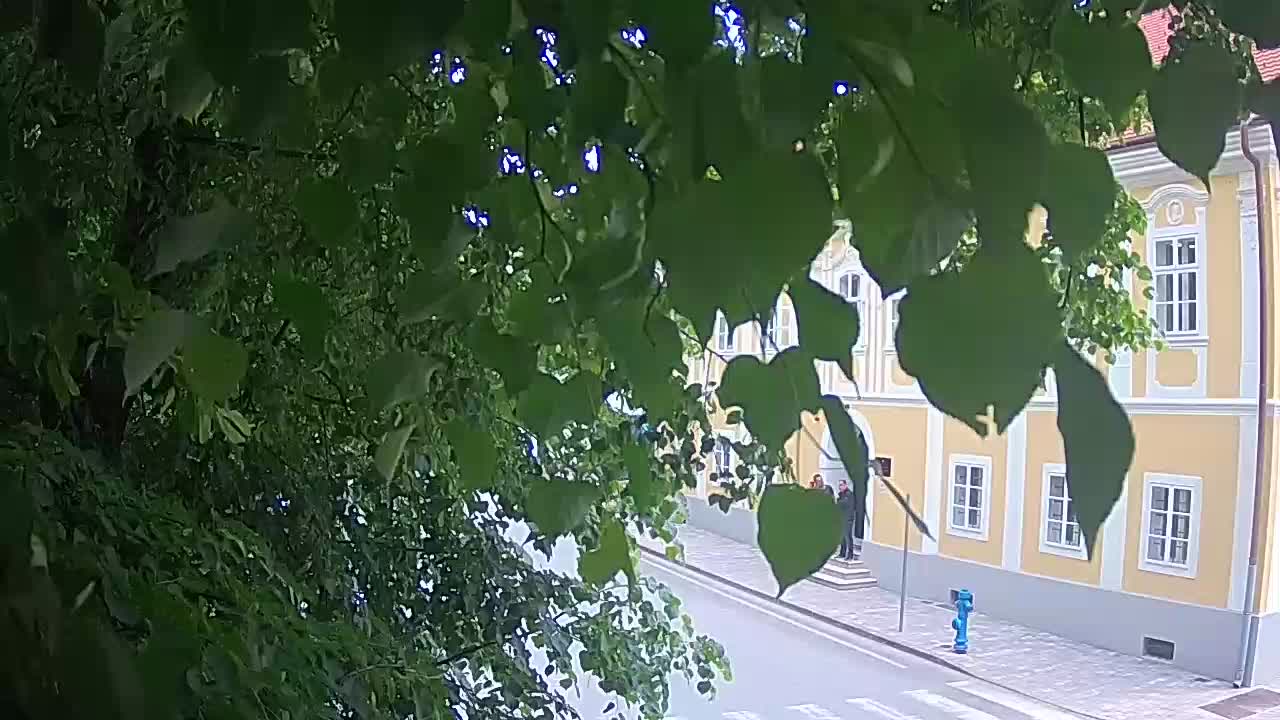 Webcam en direct du parc Petrinja – après le tremblement de terre