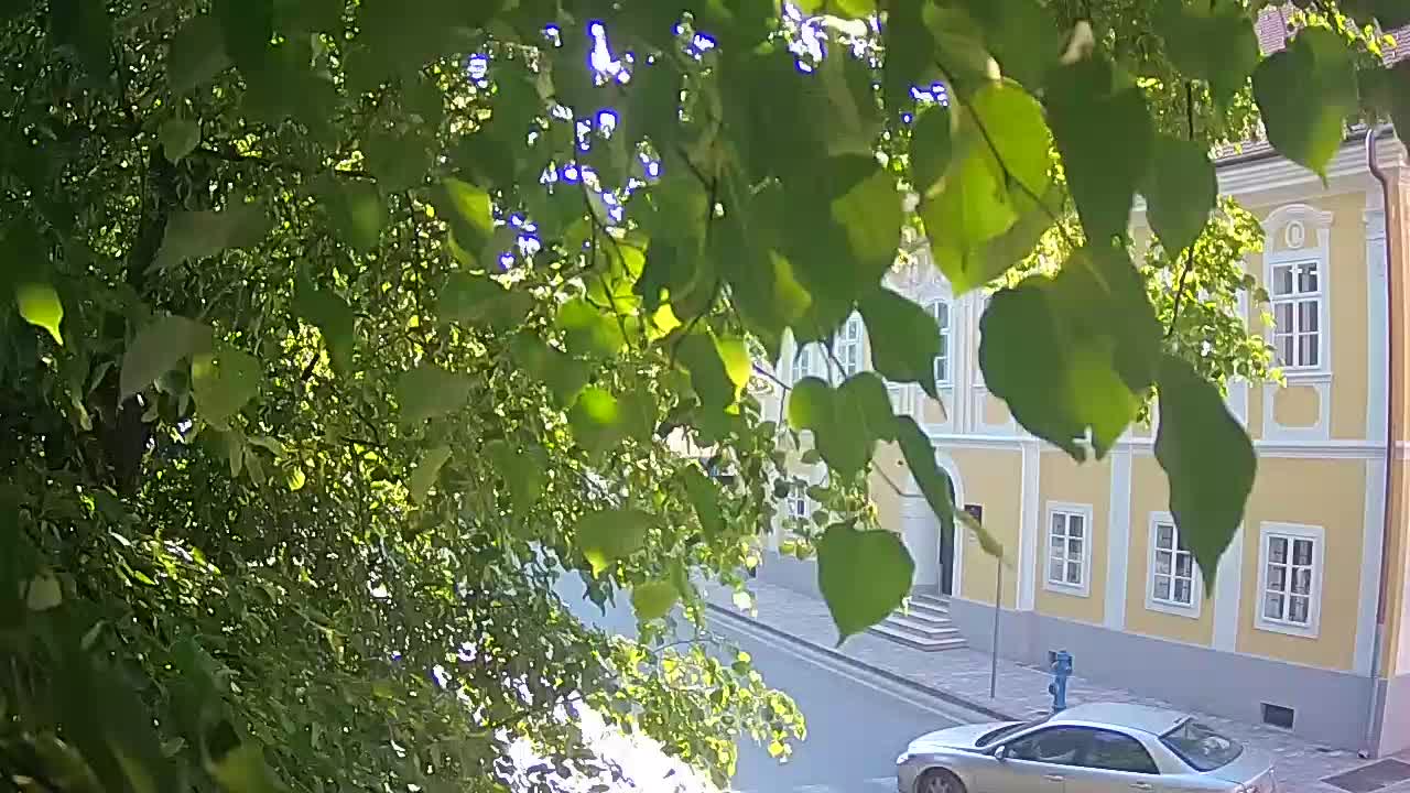 Webcam en vivo parque Petrinja – después del terremoto