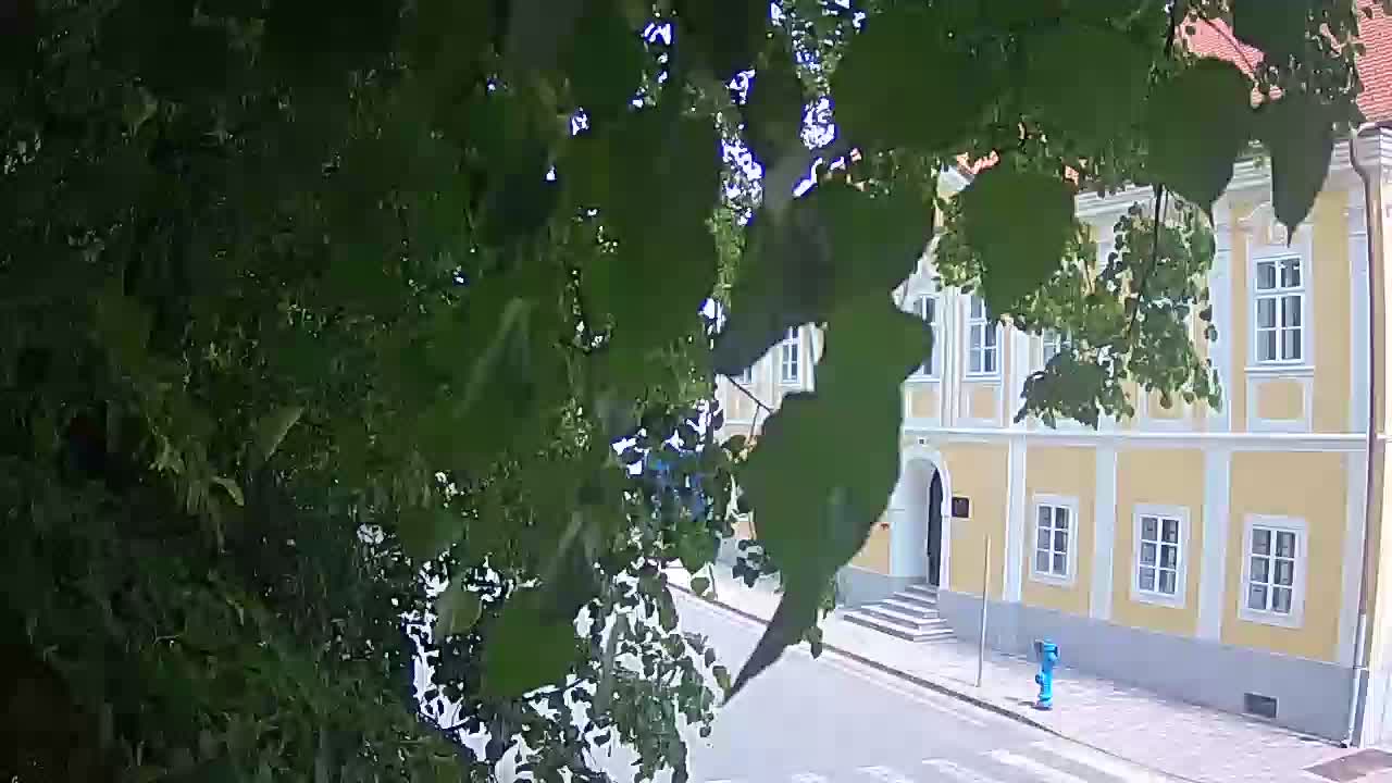 Webcam en vivo parque Petrinja – después del terremoto