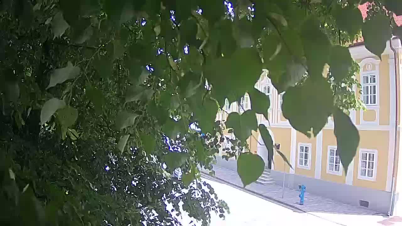 Spletna kamera v živo Petrinja centralni park – po potresu