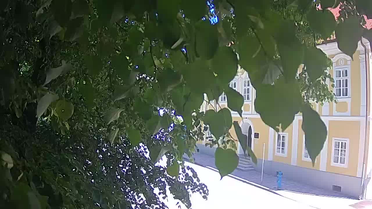 Webcam en direct du parc Petrinja – après le tremblement de terre