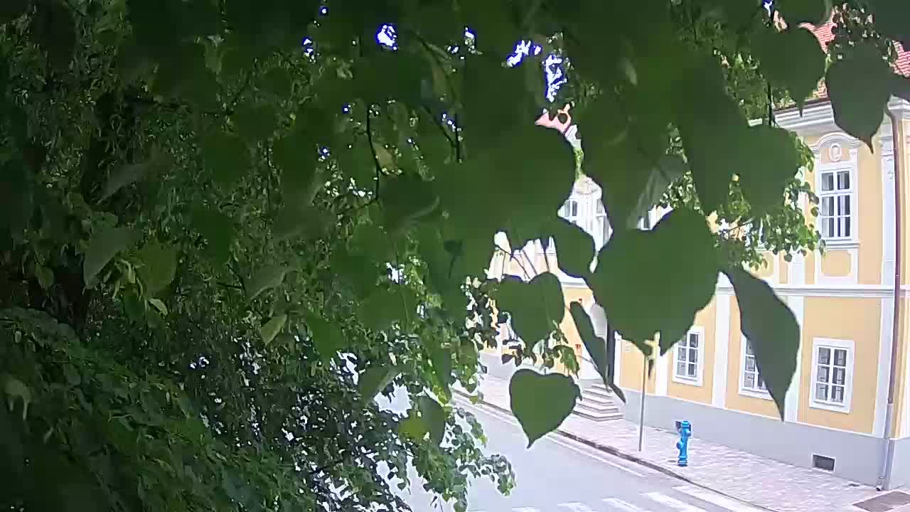 Webcam en direct du parc Petrinja – après le tremblement de terre