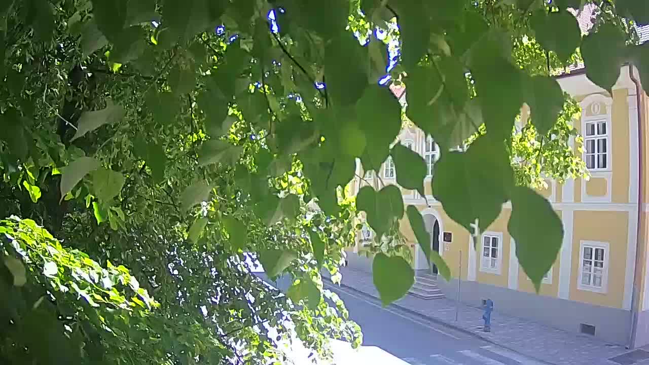 Web kamera uživo Petrinja centralni park – nakon potresa