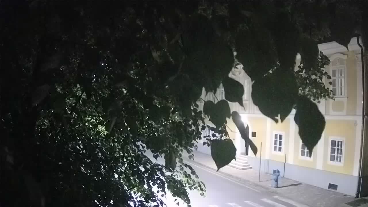 Live webcam parco Petrinja – dopo il terremoto
