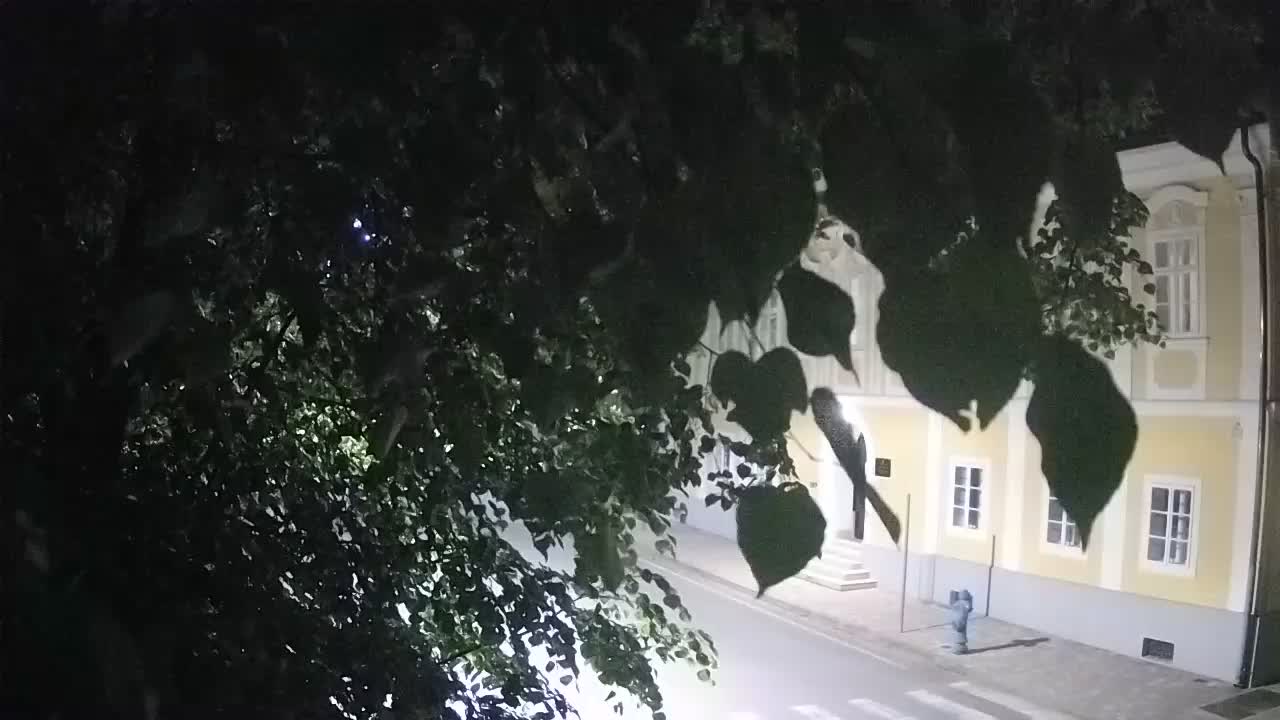 Live webcam Petrinja central park – after the earthquake