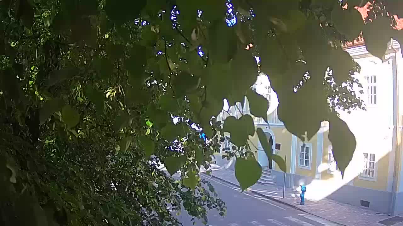 Live webcam Petrinja central park – after the earthquake