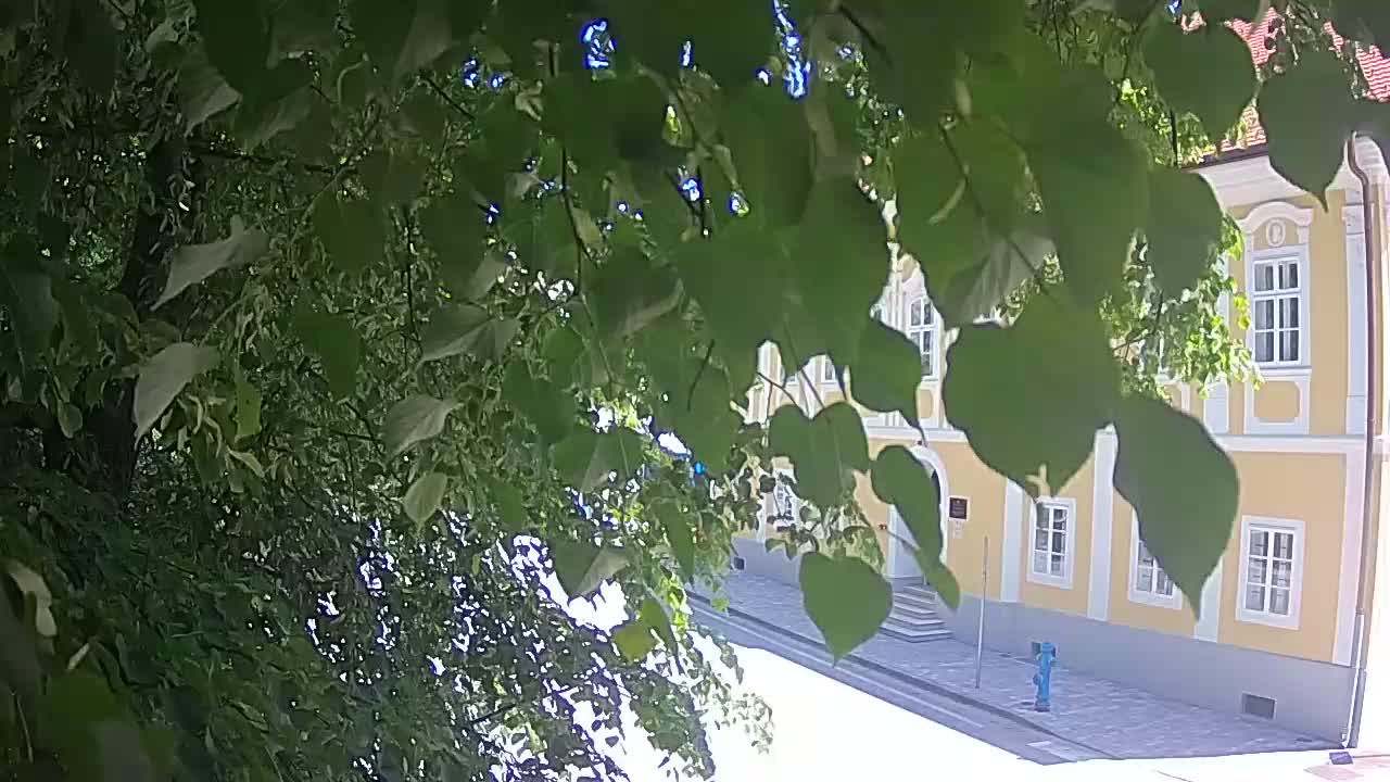 Live webcam Petrinja central park – after the earthquake