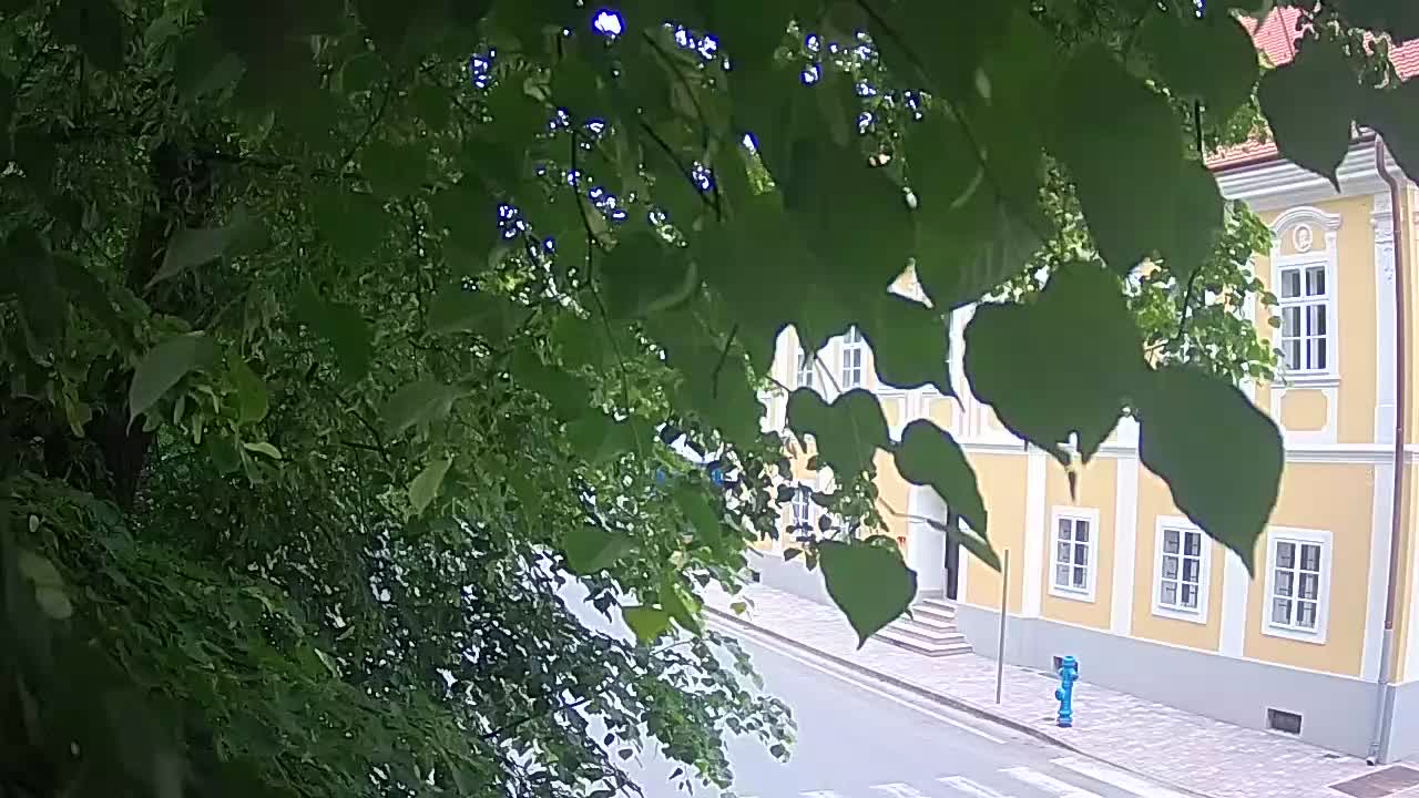 Live webcam parco Petrinja – dopo il terremoto