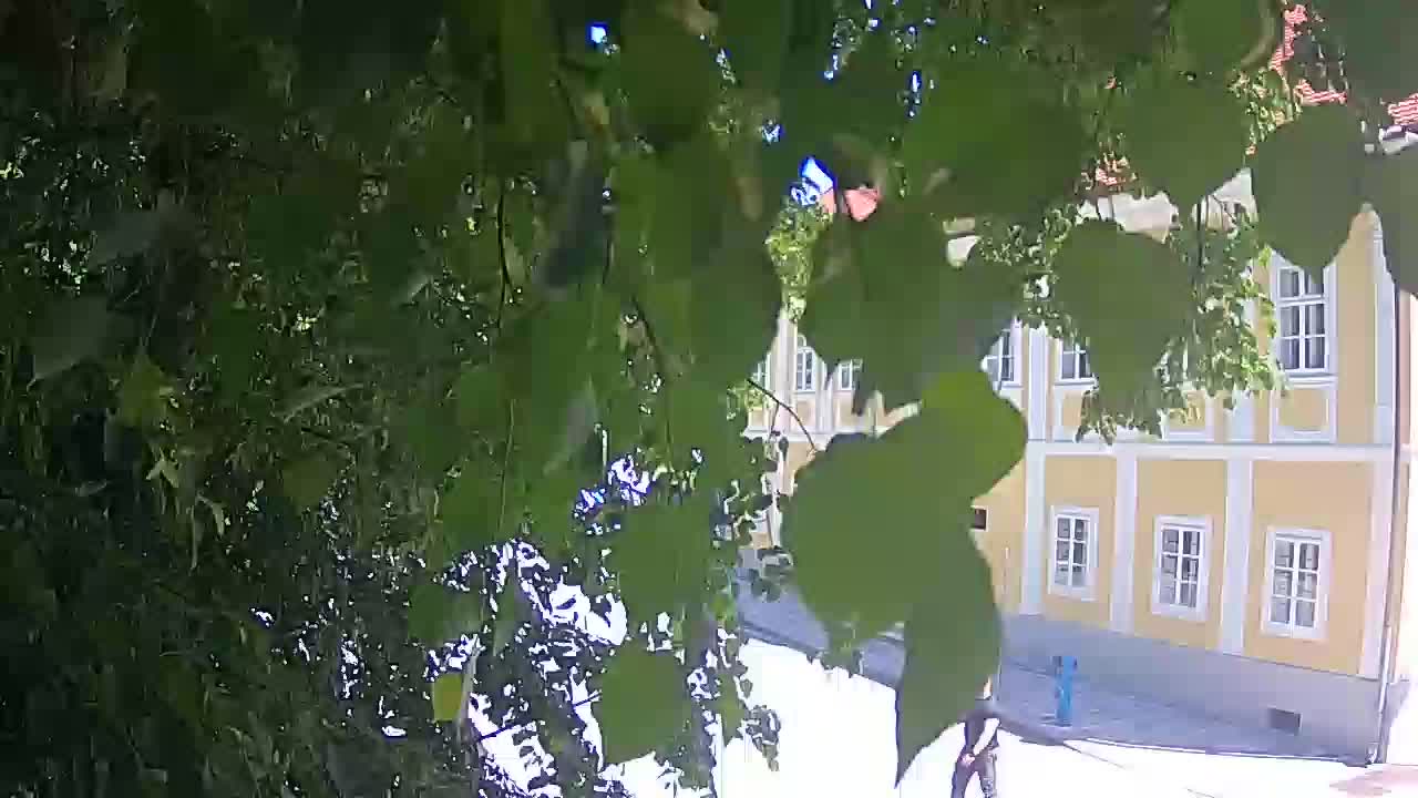 Spletna kamera v živo Petrinja centralni park – po potresu