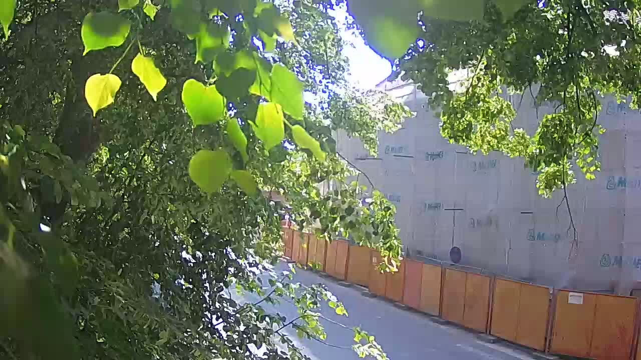 Webcam en direct du parc Petrinja – après le tremblement de terre