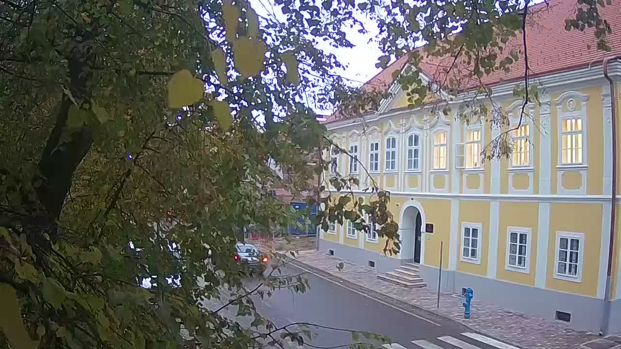 Webcam en vivo parque Petrinja – después del terremoto